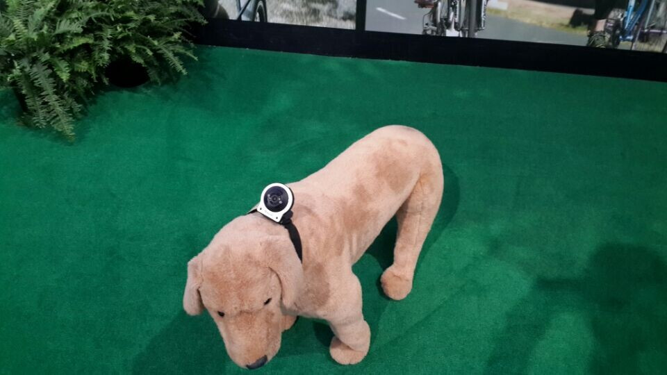 wearable product
