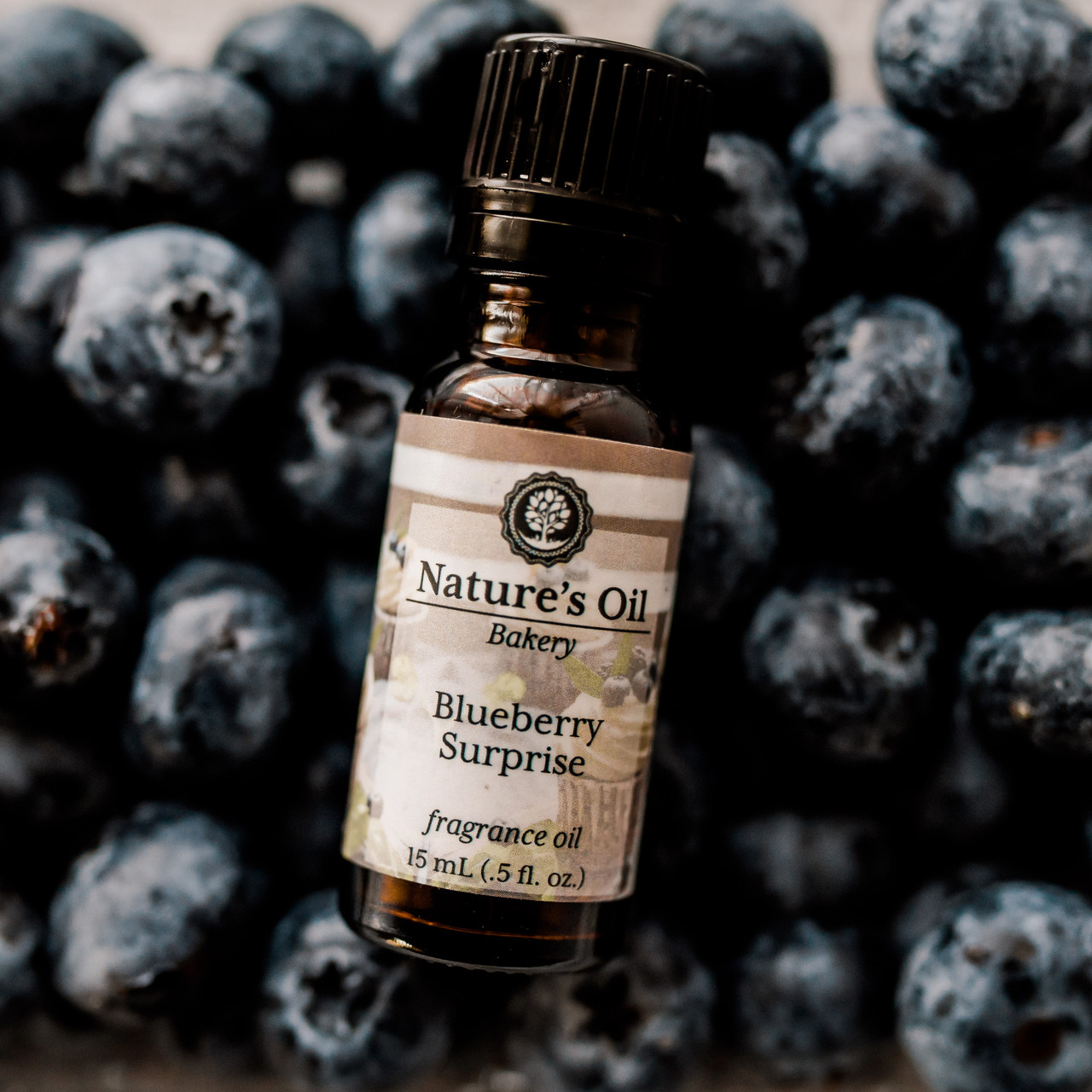Blueberry Surprise Fragrance Oil Buy Wholesale From Bulk Apothecary