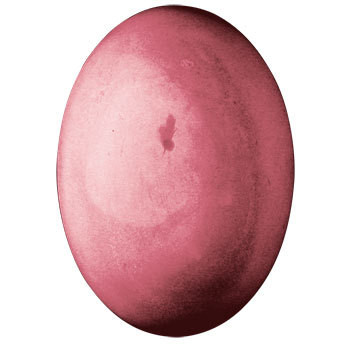 Buy Domed Oval Soap Molds Bulk Apothecary