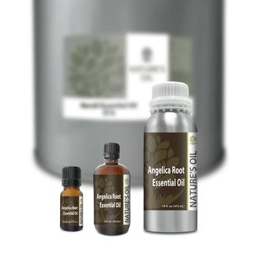 Angelica Root Essential Oil