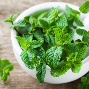 Pure Spearmint Flavor Sizes Pure Spearmint Flavor Sizes