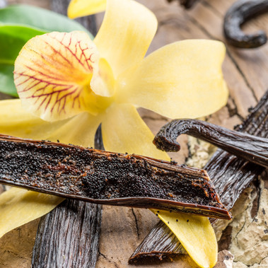 Pure Tahitian Vanilla Flavor Sizes Pure Tahitian Vanilla Flavor Sizes