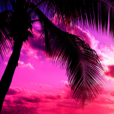 Paradise Fantasy (our version of) Fragrance Oil