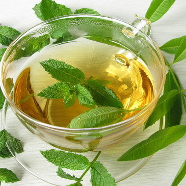 Lemon Verbena (all natural) Fragrance Oil | Bulk Apothecary