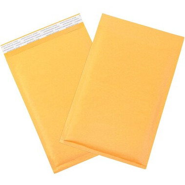 #2 Bubble Mailer Envelope (8.5" x 12")