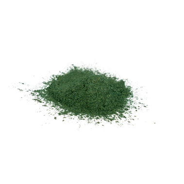 Jungle Green Mica Powder - Bulk Apothecary