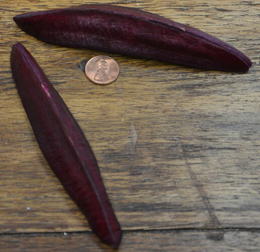 Triangle Pods - Rose - 1 lb