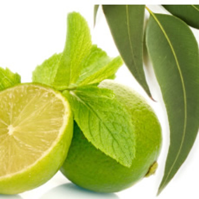 ☆BBW☆Eucalyptus Spearmint ミニ エッセンシャルオイル ミスト Bath and Body Works Aromatherapy Essential Oil Mist Spray