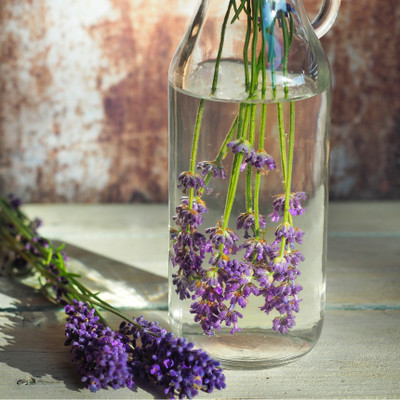 Lavender Vanilla Fragrance Oil  Buy Wholesale From Bulk Apothecary