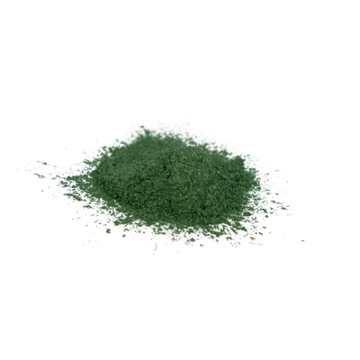 Jungle Green Mica Powder - Bulk Apothecary