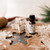 Warm Vanilla Gingerbread Fragrance Oil