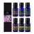 Radha Beauty Top 6 Essential Oil Set Radha Beauty Top 6 Essential Oil Set