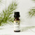 Frasier Fir Fragrance Oil (our version of Thymes Candles) Frasier Fir Fragrance Oil (our version of Thymes Candles)