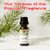 Frasier Fir Fragrance Oil (our version of Thymes Candles) Frasier Fir Fragrance Oil (our version of Thymes Candles)