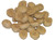 Pure Water Soluble Maple Nut Flavor Sizes Pure Water Soluble Maple Nut Flavor Sizes