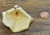Golden Mushroom Whole - Bleached Golden Mushroom Whole - Bleached