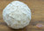 Shola Button Ball - 10pk of 8 cm Natural w/o bark