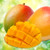 Bali Mango (our version of BBW) Fragrance Oil Bali Mango (our version of BBW) Fragrance Oil