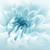 Blue Musk Fragrance Oil Blue Musk Fragrance Oil