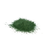 Jungle Green Mica Powder - Bulk Apothecary