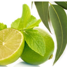 Eucalyptus Spearmint Fragrance Oil (version of Bath & Body Works)