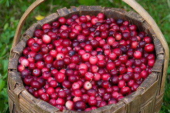 Cran-Grape Fragrance Oil