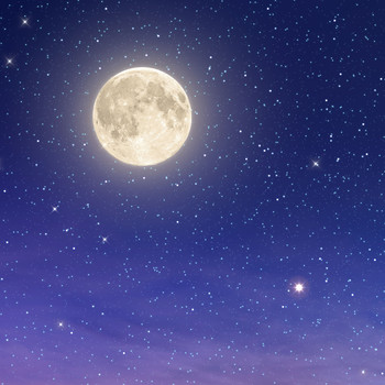Moon Sparkle Fragrance Oil (our version of Escada)