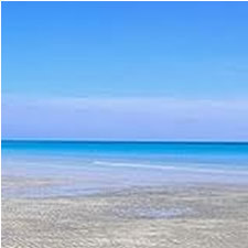 Aqua Fragrance Oil