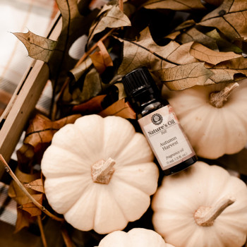 Autumn Harvest Fragrance Oil
