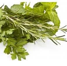 Rosemary Mint Fragrance Oil