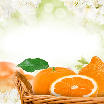 Capri Seaside Citrus Fragrance Oil (our version of Bath & Body Works)