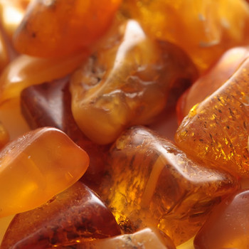 Amber Essential Oils Supplier, Manufacturer & Wholesaler