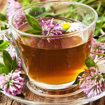 Red Clover Tea Fragrance Oil