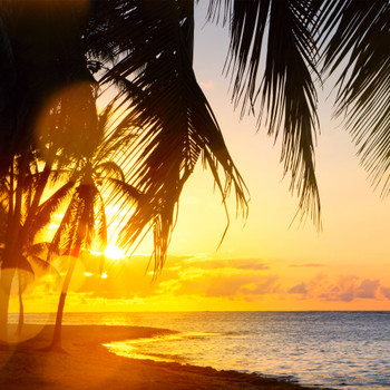 Honolulu Sun Fragrance Oil (our version of Bath & Body Works)