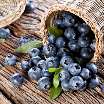 Huckleberry Fragrance Oil