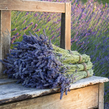 Wholesale Lavender Fragrance Oils For Resale