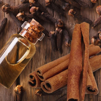 Redwood Embers Fragrance Oil