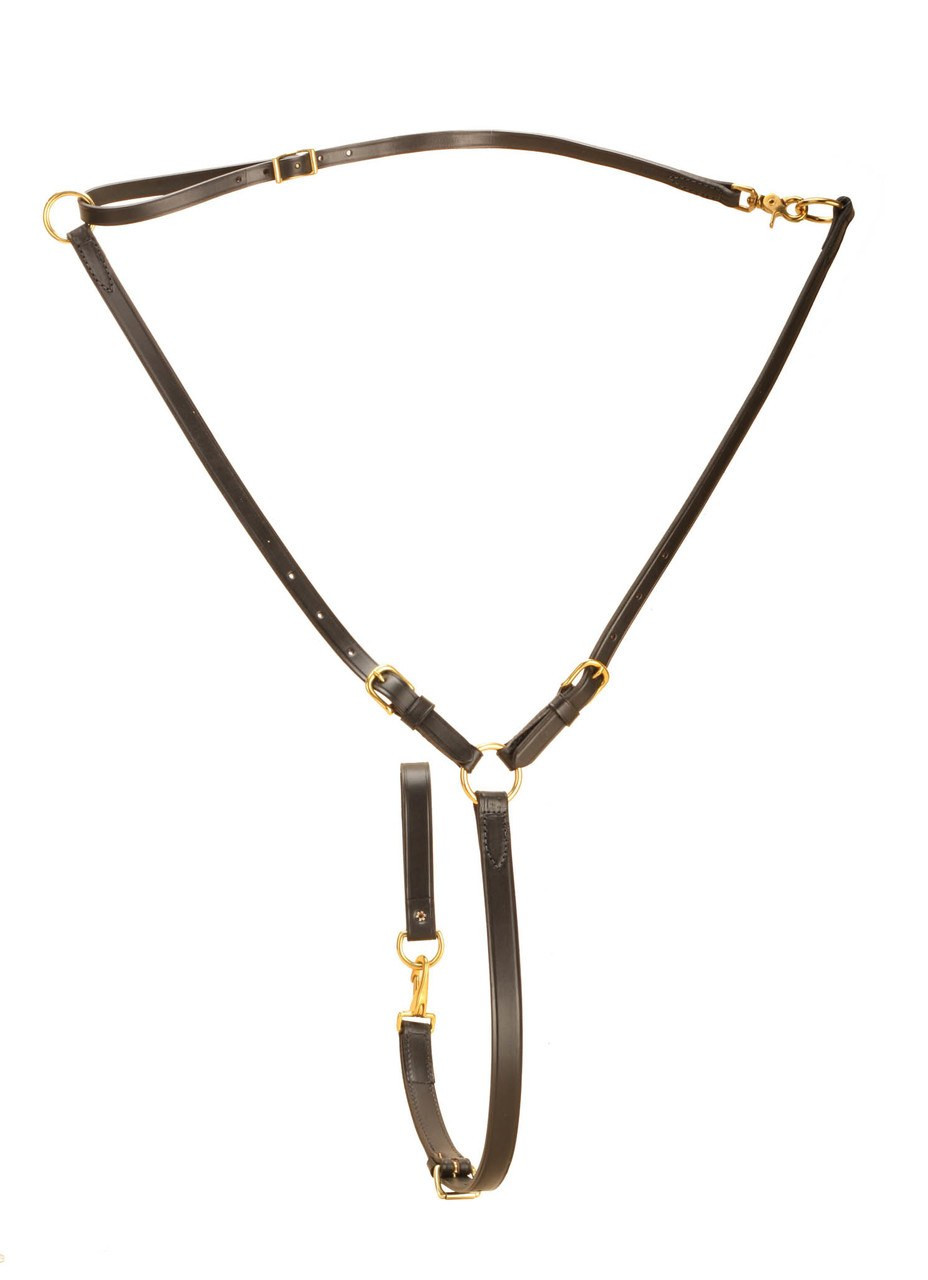 Martingale Équitation Protanner Cuir Havana Cheval Anneaux