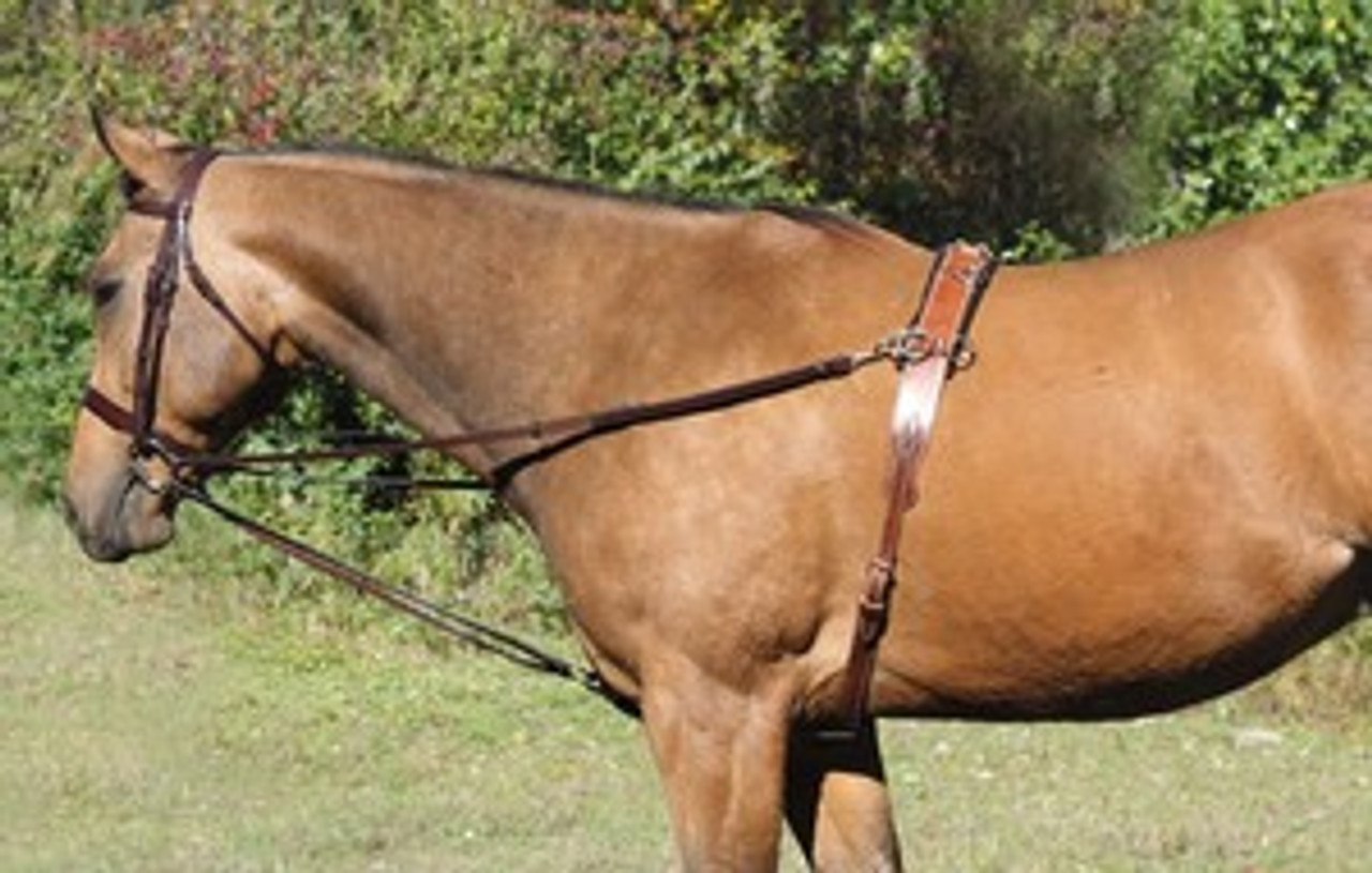 Draw Reins and German Martingales--category-image