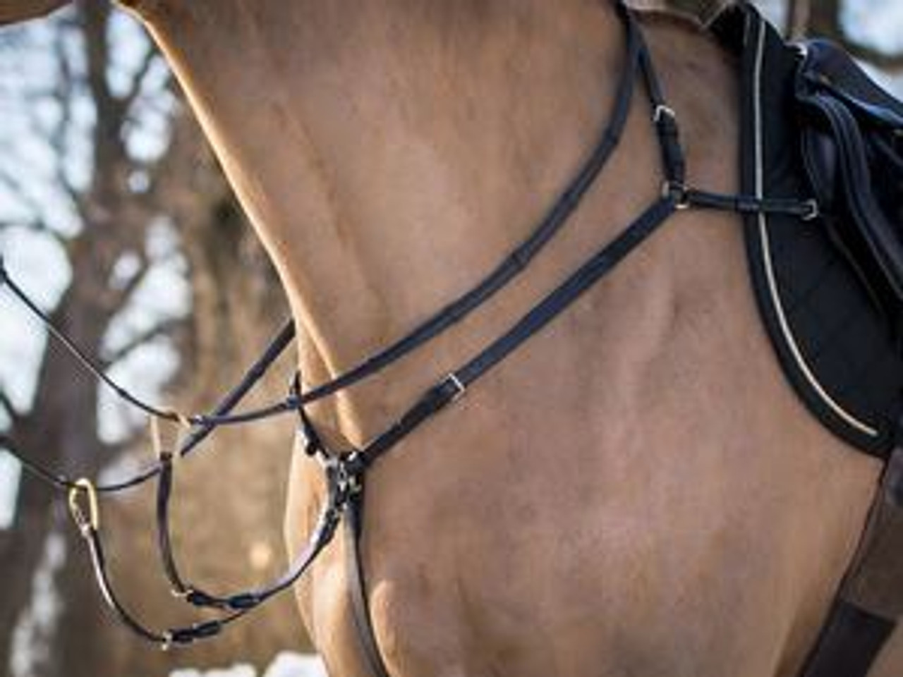 Martingales and Breastplates--category-image