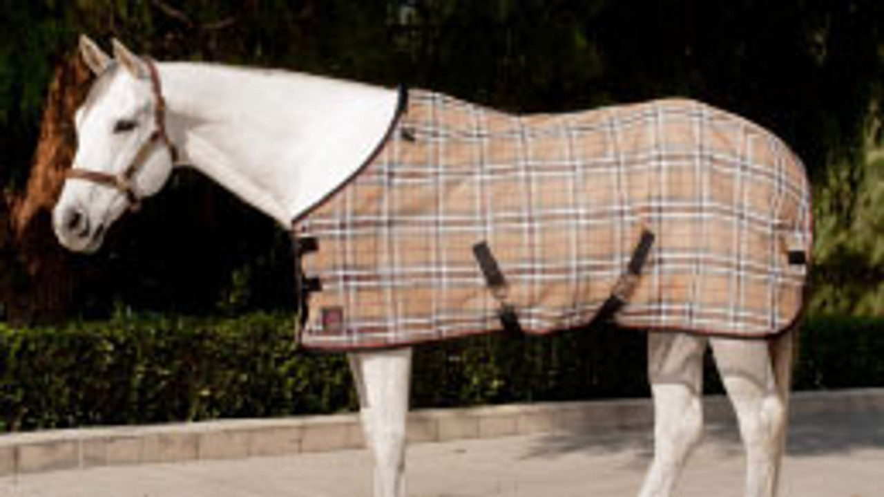 Horse Clothing--category-image