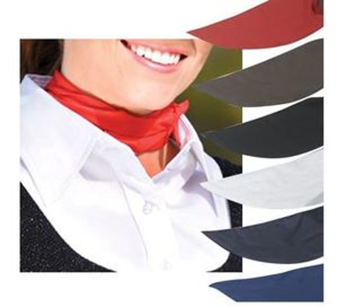Western Horse Show Accessories--category-image