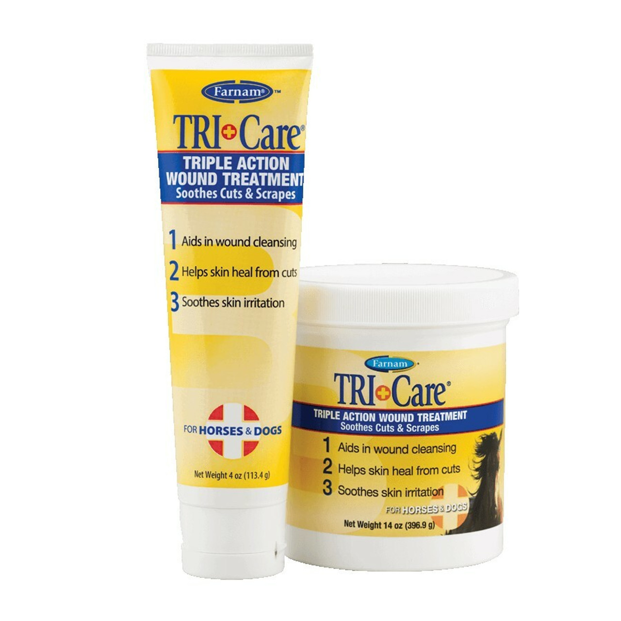 Horse Health and First Aid--category-image