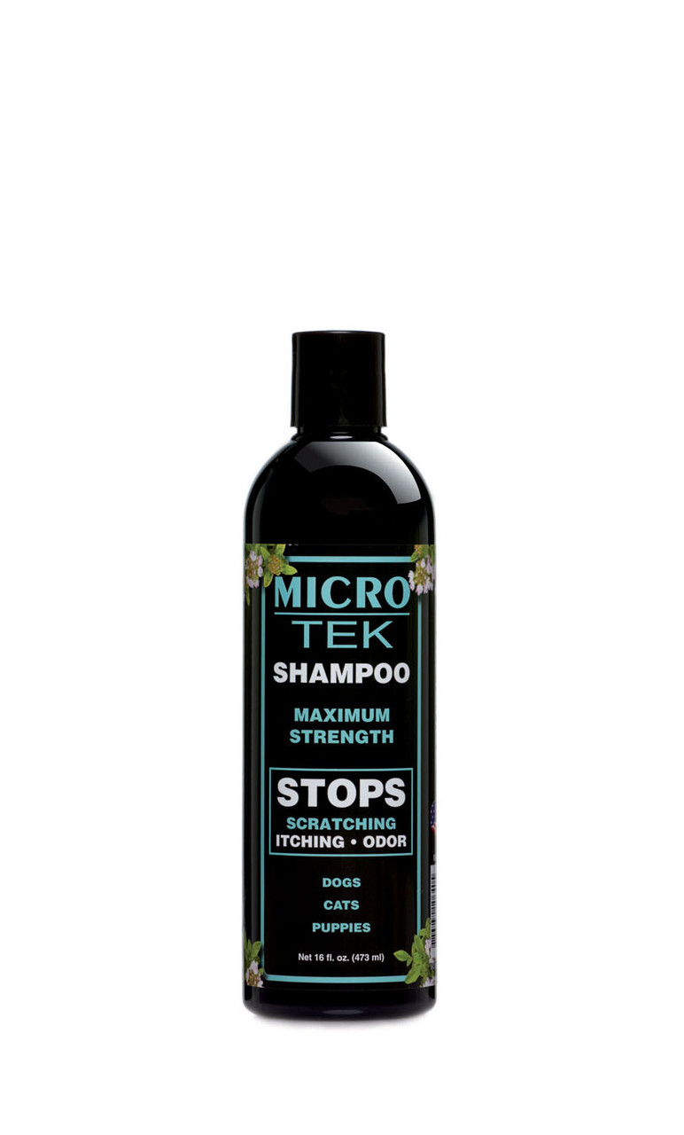 Shampoo and Skin Care--category-image