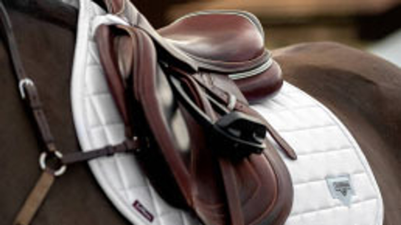 English Saddles and Tack--category-image