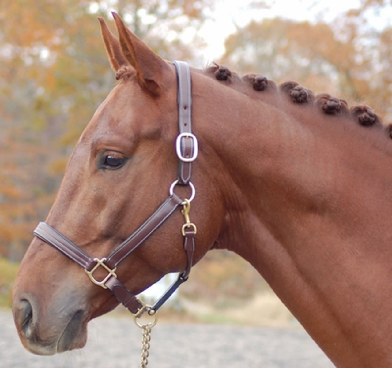 Red Barn Lainie Halter- KL Select Leather Halters