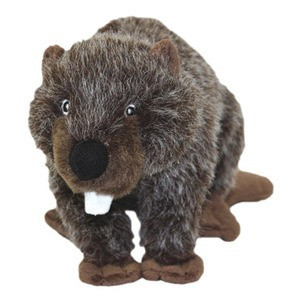 dog toy beaver