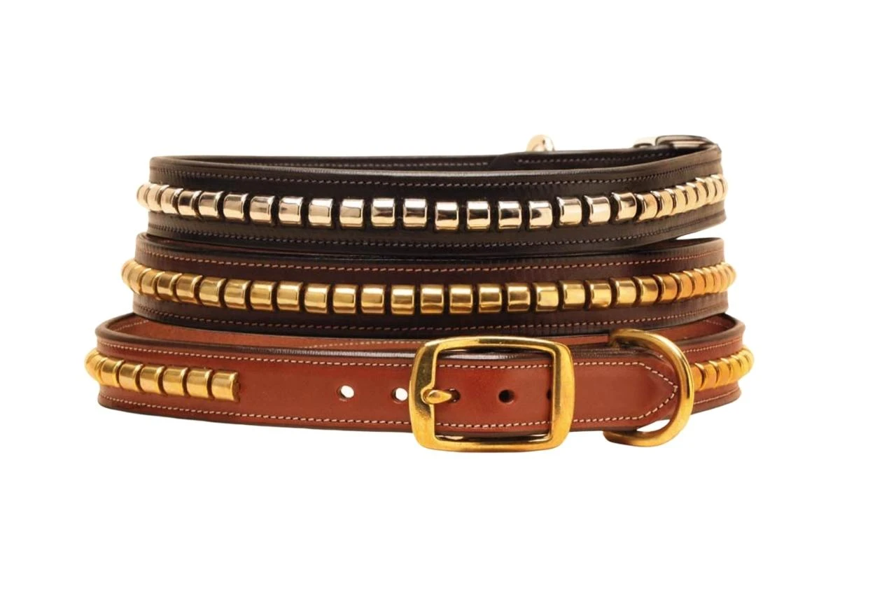 rolled leather collars tory dog collar
