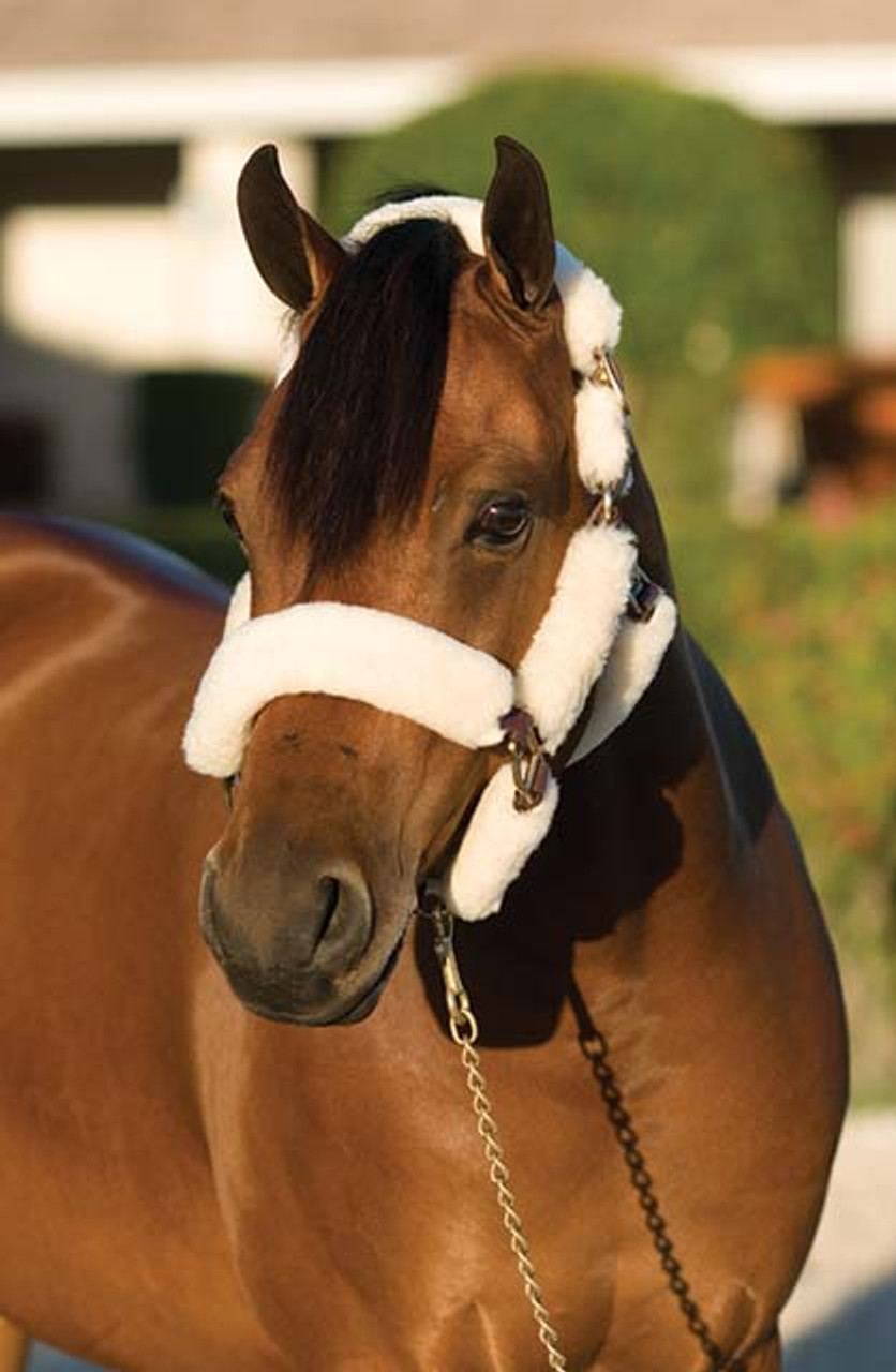 HORSE FEATHERS セットアップ　Mサイズ　20-21 HORSE FEATHERS セットアップ Mサイズ 20-21