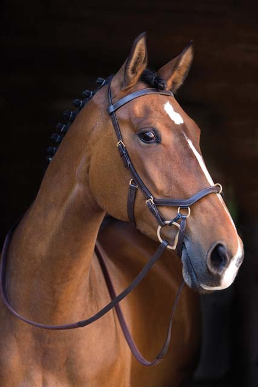 Rambo Micklem Multibridle Horse Bridles